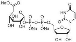 Uridine 5′-diphosphoglucuronic acid trisodium salt - Merck KGaA, Darmstadt, Germany - Life Sciences