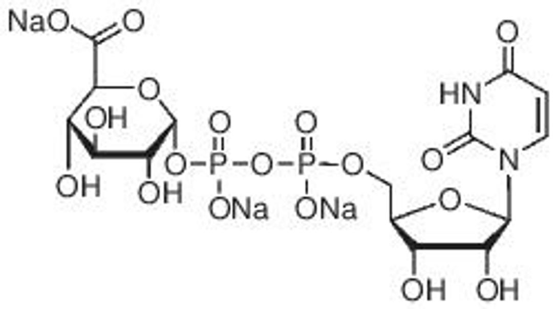 Uridine 5′-diphosphoglucuronic acid trisodium salt - Merck KGaA, Darmstadt, Germany - Life Sciences
