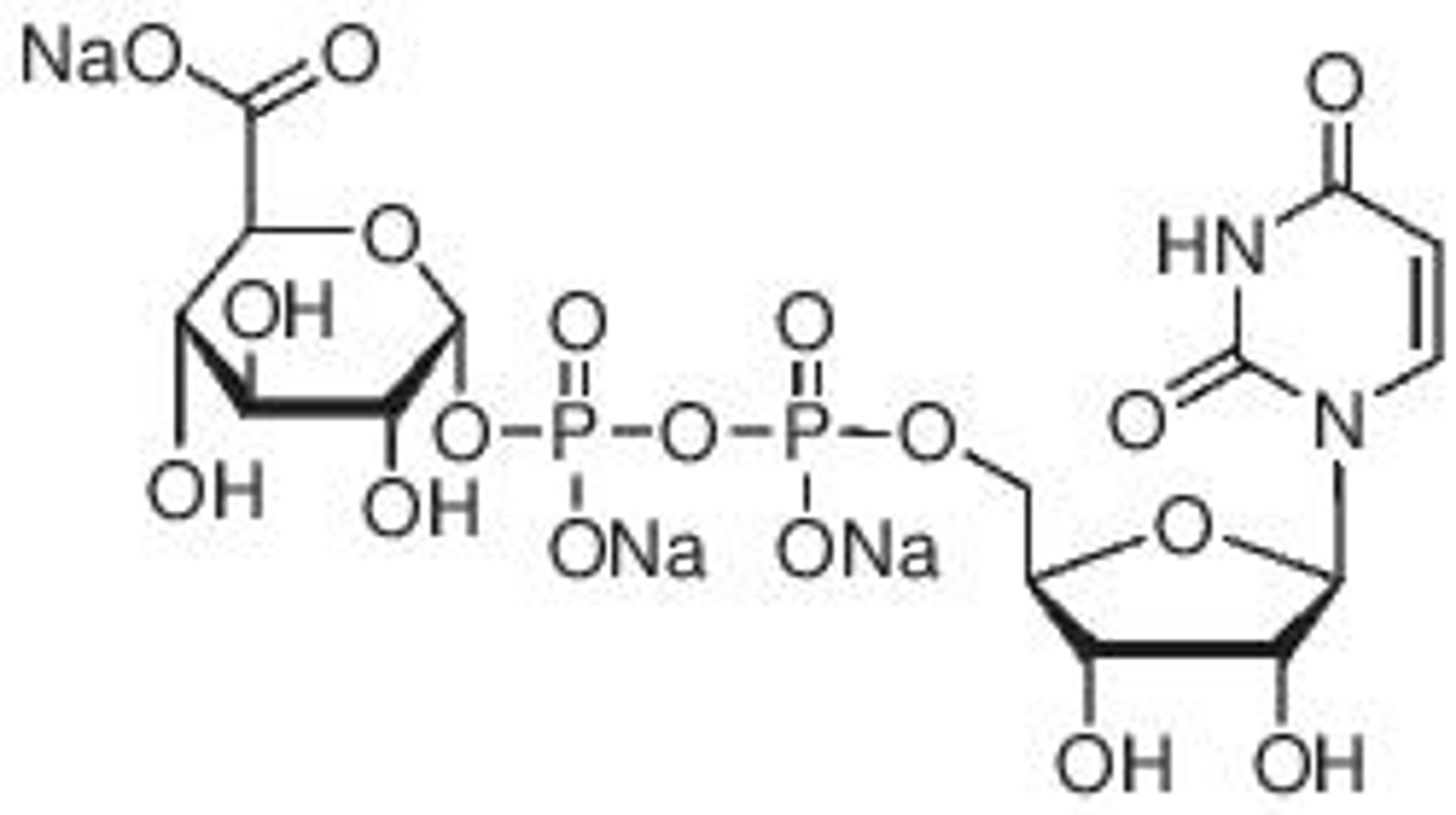 Uridine 5′-diphosphoglucuronic acid trisodium salt - Merck KGaA, Darmstadt, Germany - Life Sciences