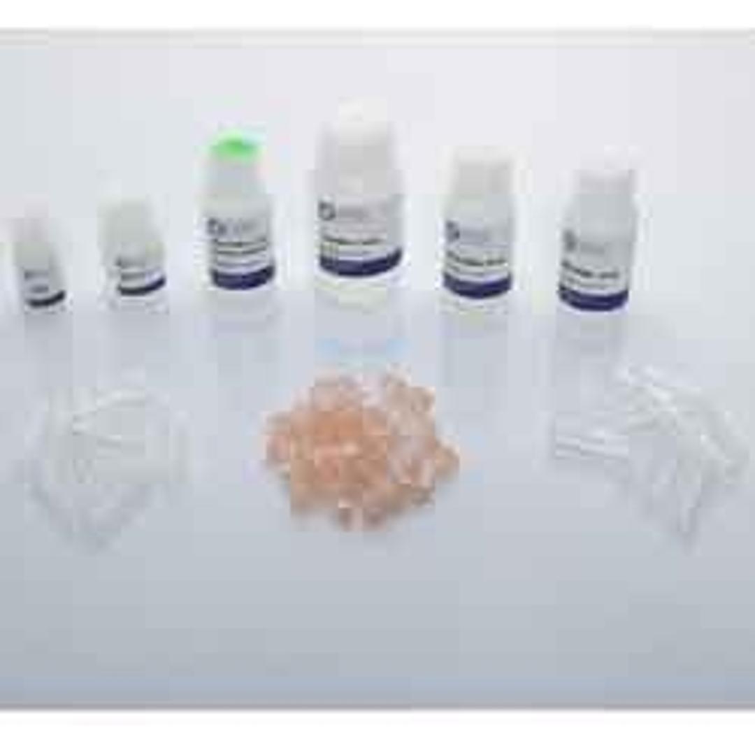 Bead Mill Yeast RNA Kit - OMNI International Inc. - Life Sciences