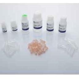 Bead Mill Yeast RNA Kit - OMNI International Inc. - Life Sciences