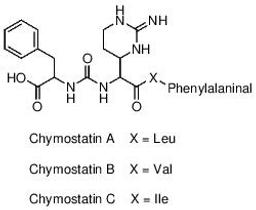 Chymostatin - Merck KGaA, Darmstadt, Germany - Life Sciences