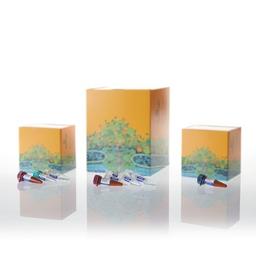 PowerPlex® Fusion System - Promega Corp. - Life Sciences