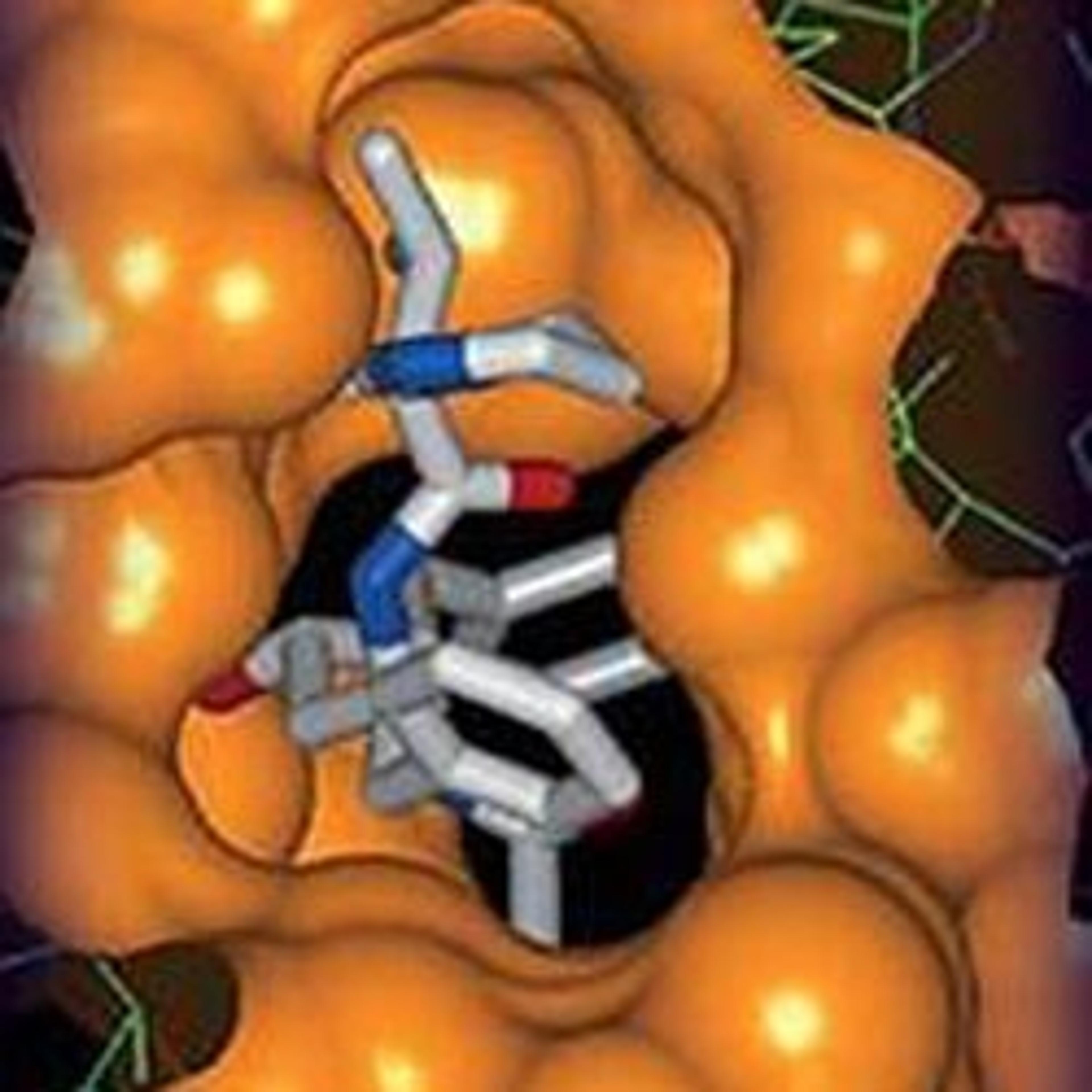 Crystal Structure Determination Service - Structure Based Design, Inc. - Lab Informatics