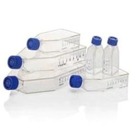 Thermo Scientific™ Nunc™ Cell Culture Flasks - Thermo Fisher Scientific - Life Sciences