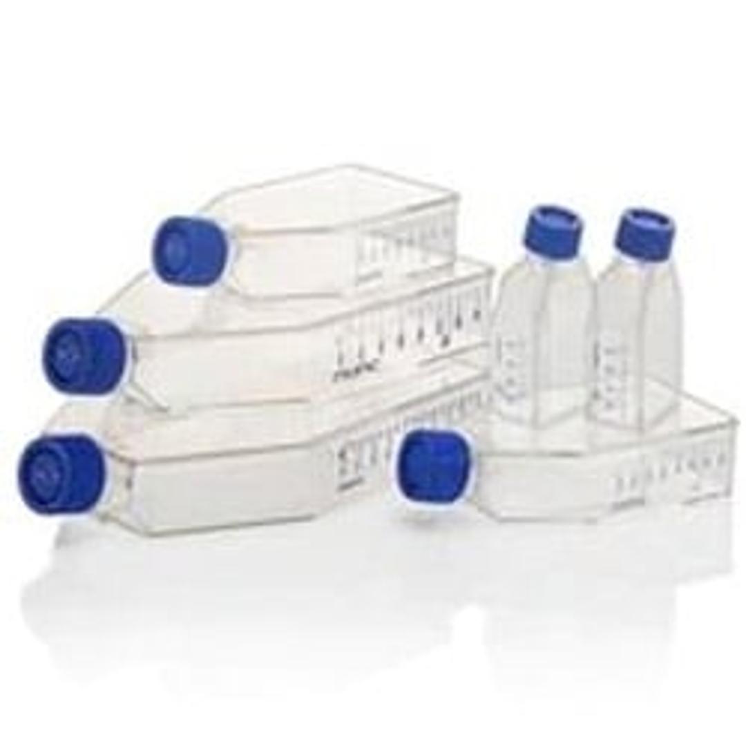 Thermo Scientific™ Nunc™ Cell Culture Flasks - Thermo Fisher Scientific - Life Sciences
