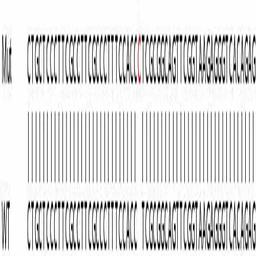 Human MTHFD2 knockout HEK293T cell line - Abcam plc - Life Sciences