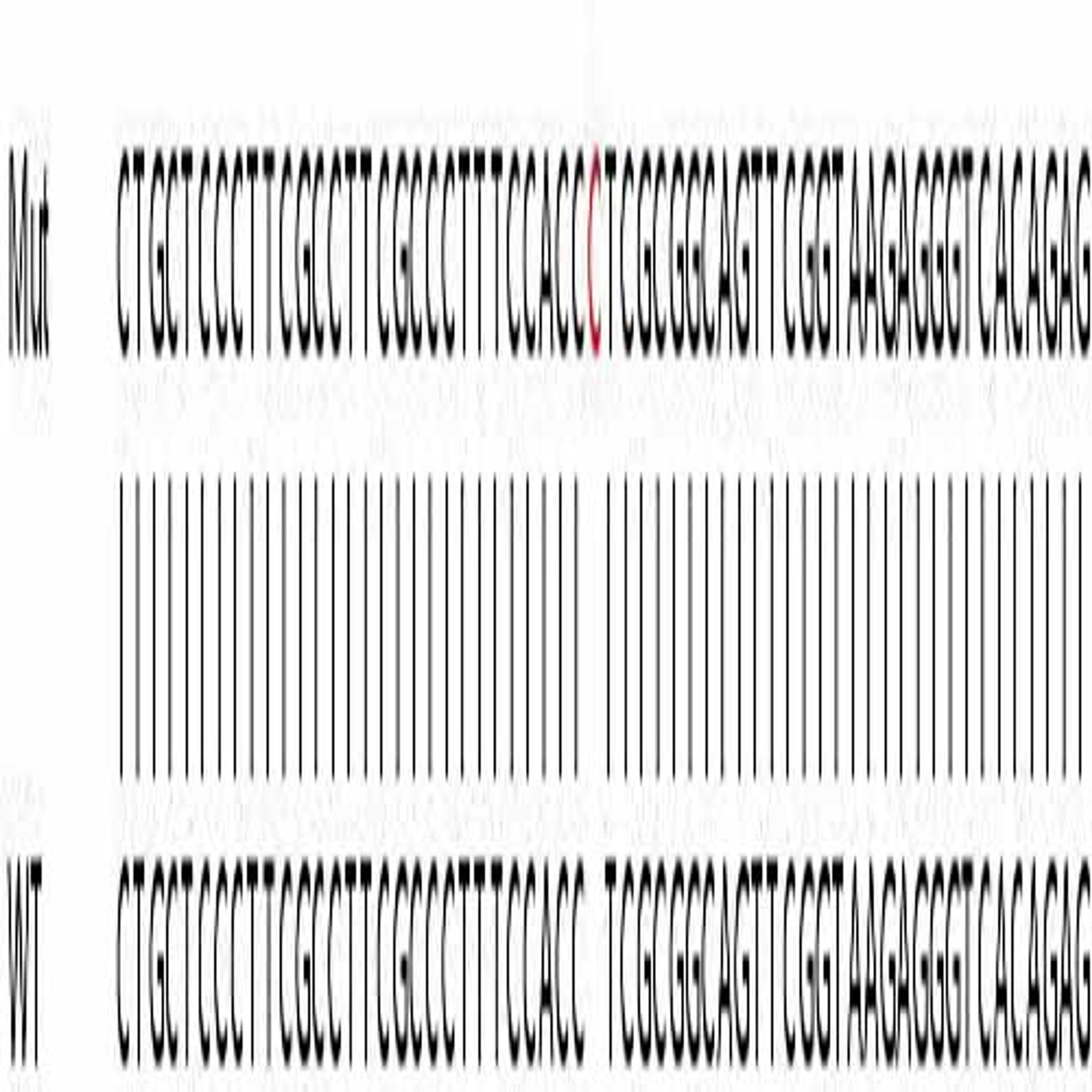 Human MTHFD2 knockout HEK293T cell line - Abcam plc - Life Sciences