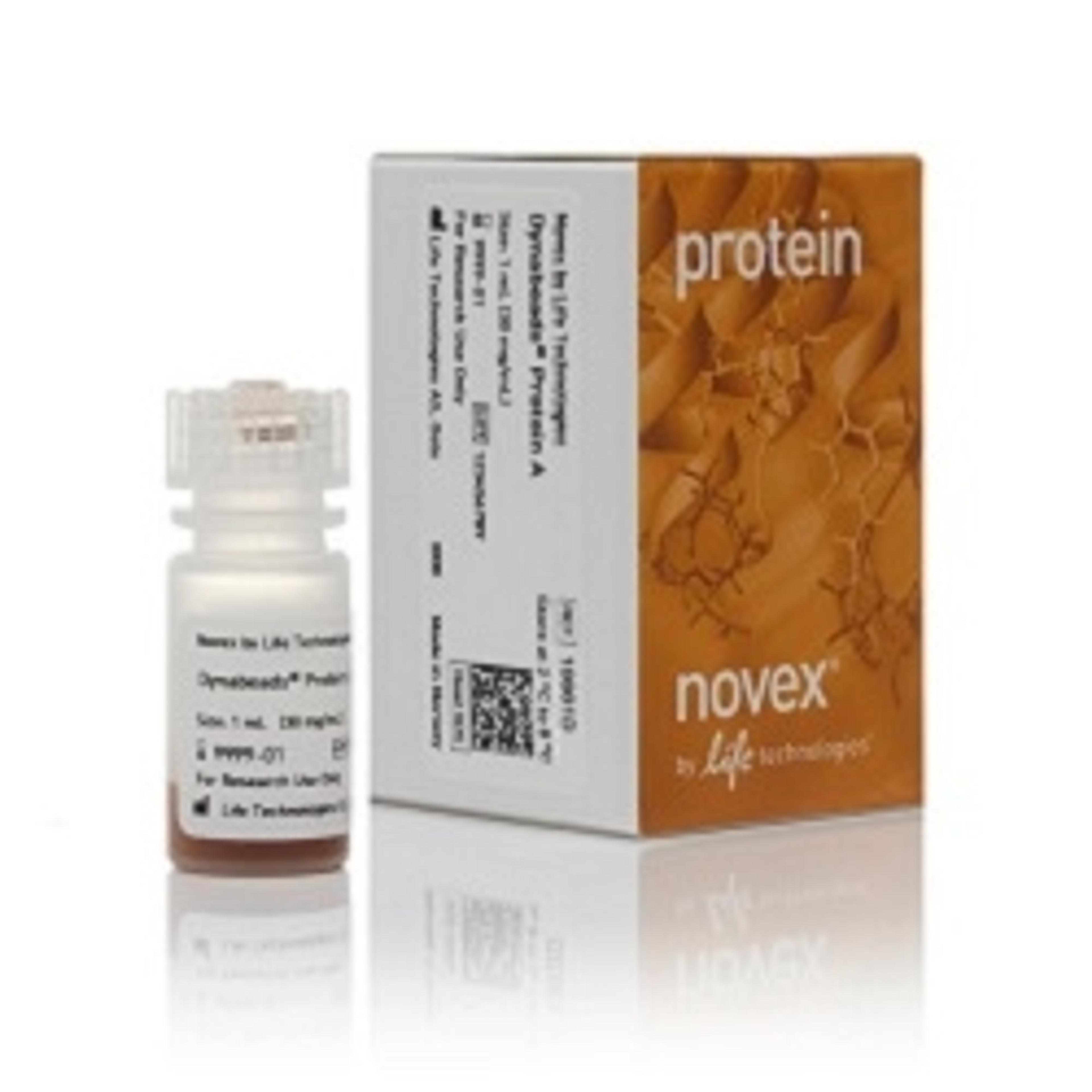 Invitrogen™Dynabeads™ Protein A for Immunoprecipitation - Thermo Fisher Scientific