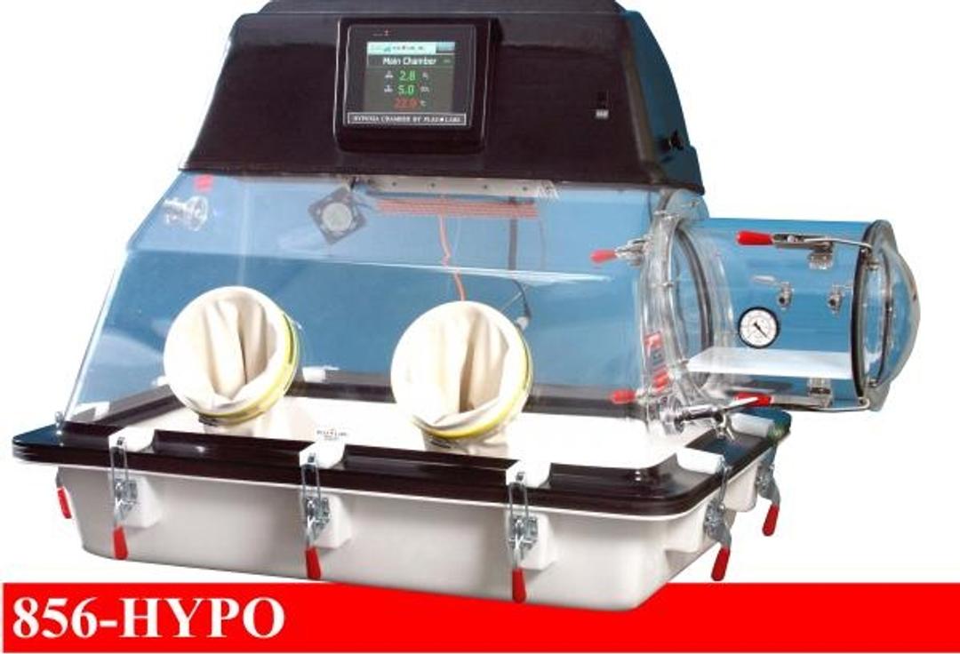 856-HYPO Glove Box - Plas Labs - General Lab