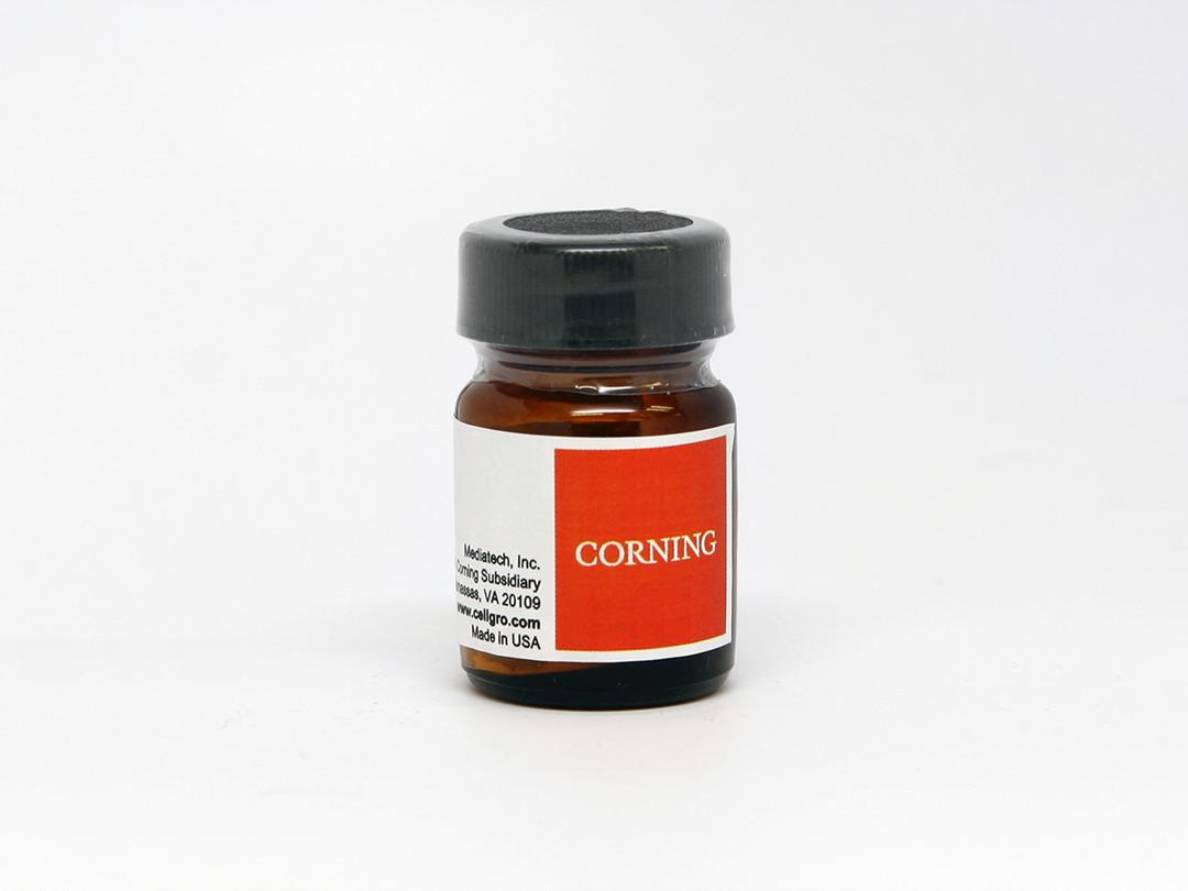 Corning® 25 g Chloramphenicol, Powder - Corning Life Sciences