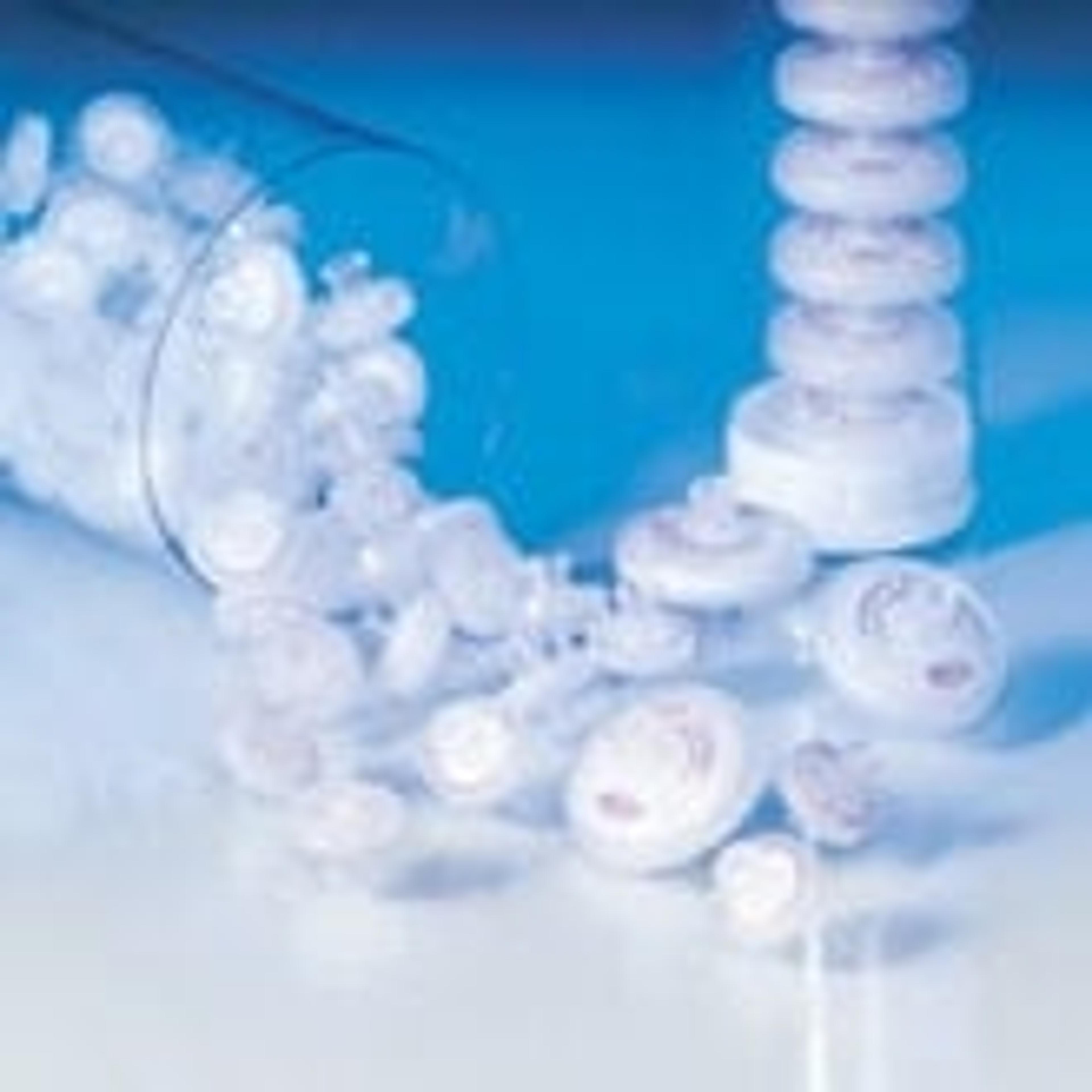 Acrodisc® Syringe Filters with GHP Membrane - Pall Life Sciences - Laboratory, Food, Beverage - General Lab
