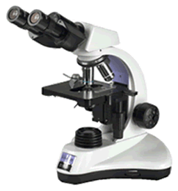 DX21 Routine Microscope - Vision Biomed - Life Sciences