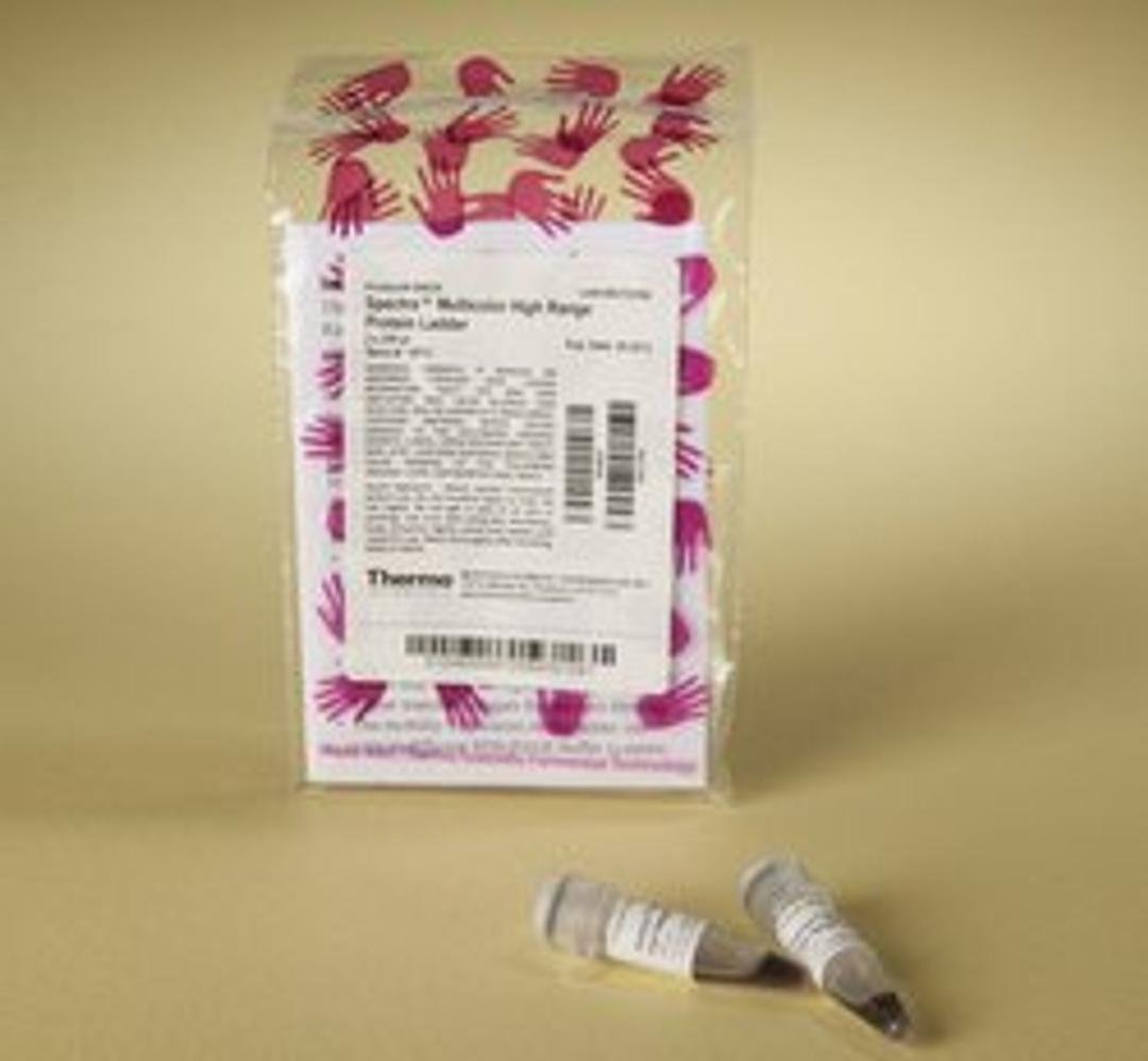 Thermo Scientific™ Spectra™ Multicolor High Range Protein Ladder - Thermo Fisher Scientific - Life Sciences