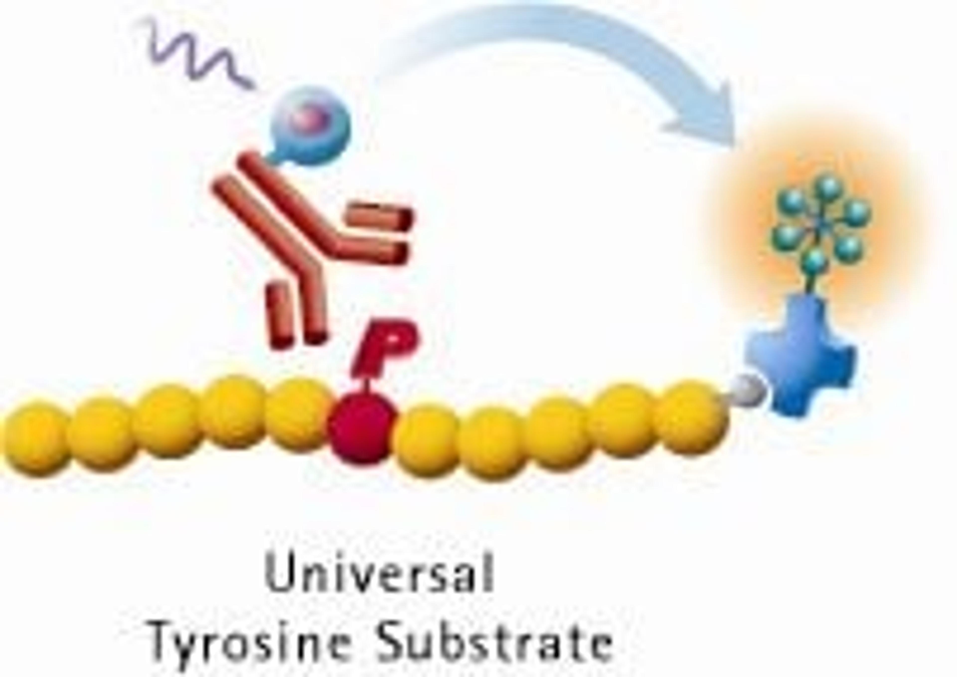 HTRF® KinEASE™ TK - Cisbio Bioassays - Drug discovery > Target Discovery