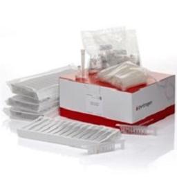 Invitrogen™ iPrep™ PureLink™ gDNA Blood Kit - Thermo Fisher Scientific