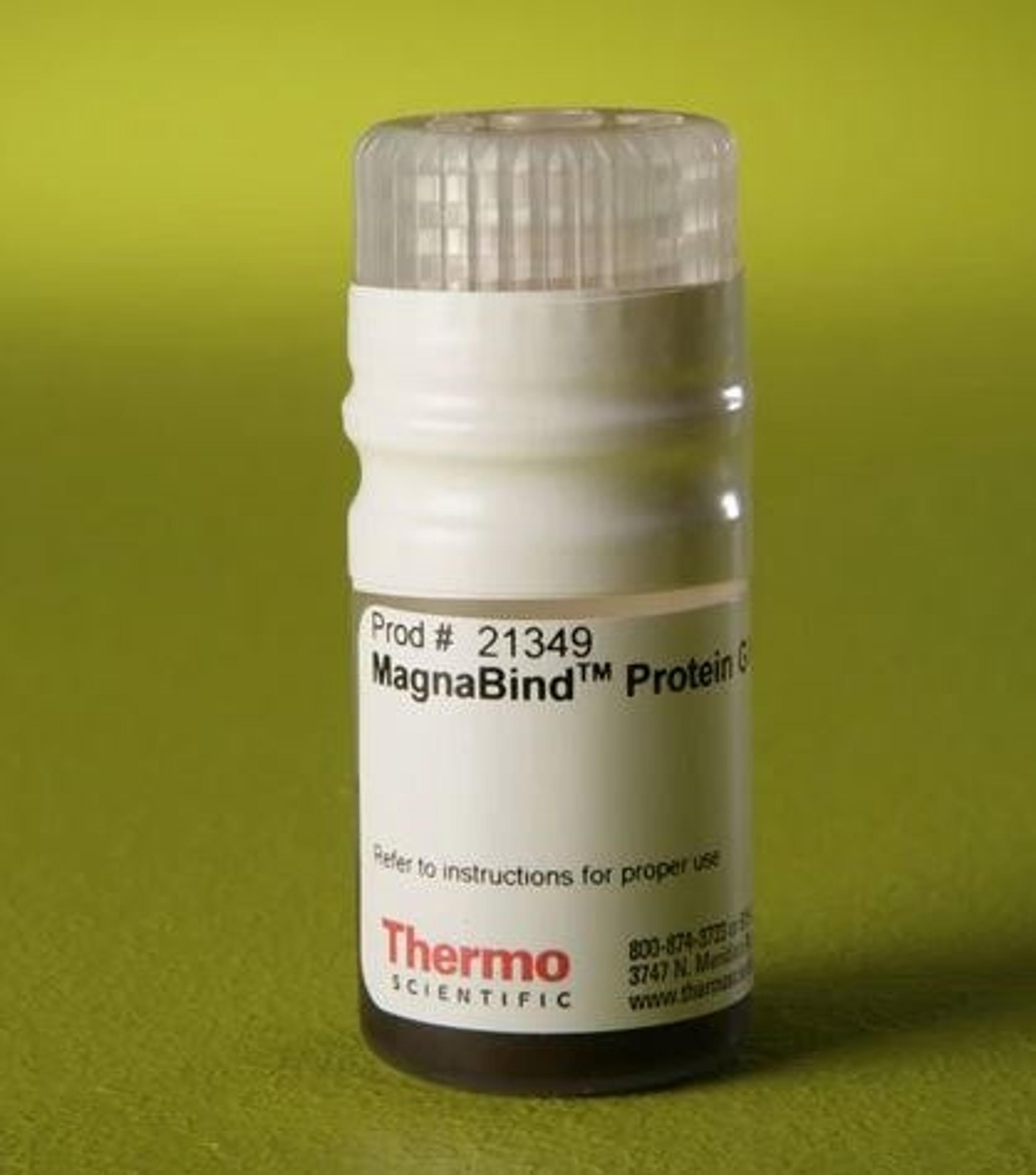 Thermo Scientific™ MagnaBind™ Protein G Beads - Thermo Fisher Scientific - Life Sciences