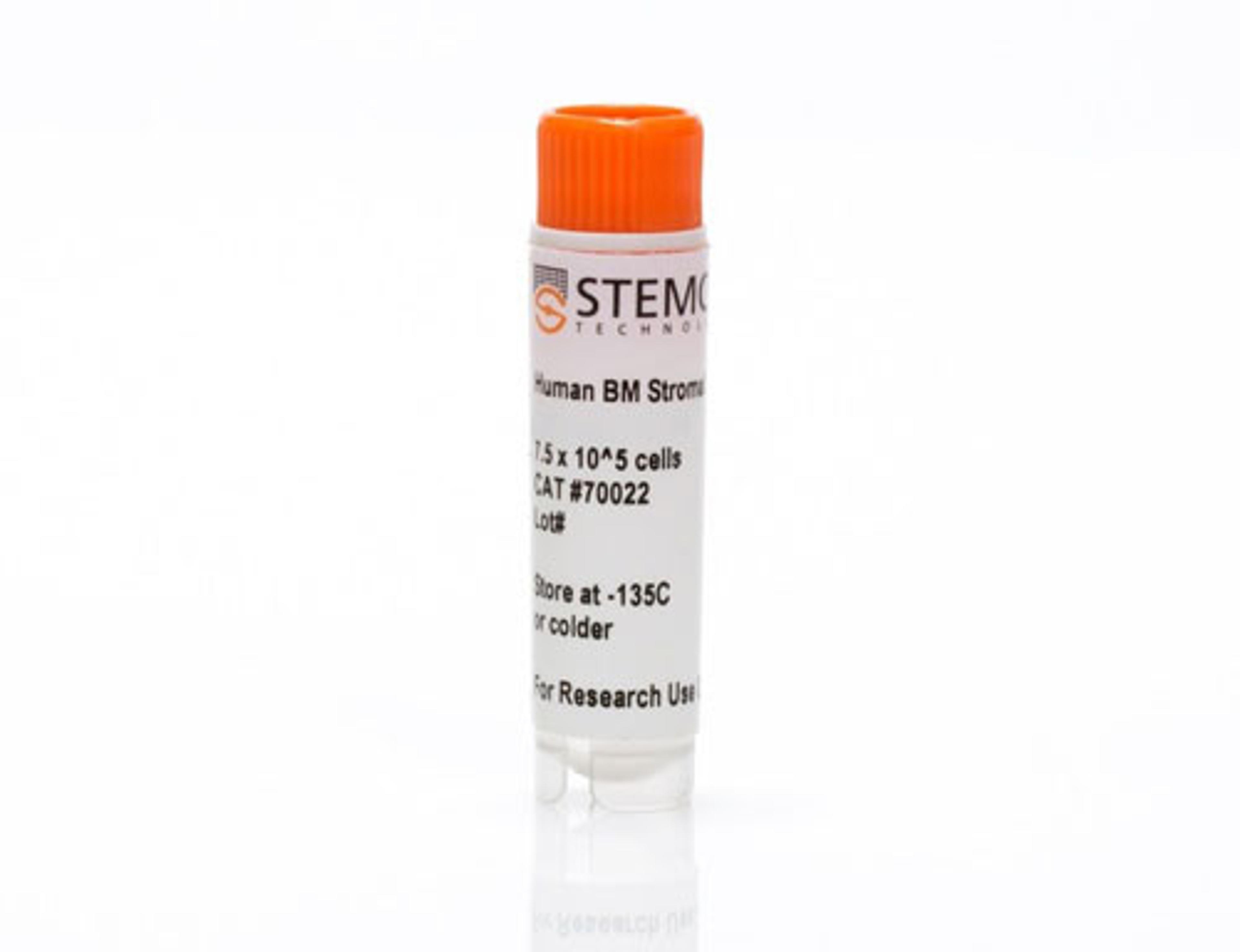 Human Bone Marrow Stromal Cells, Frozen