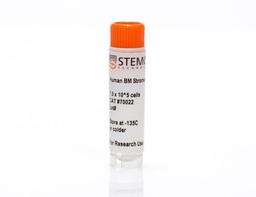 Human Bone Marrow Stromal Cells, Frozen