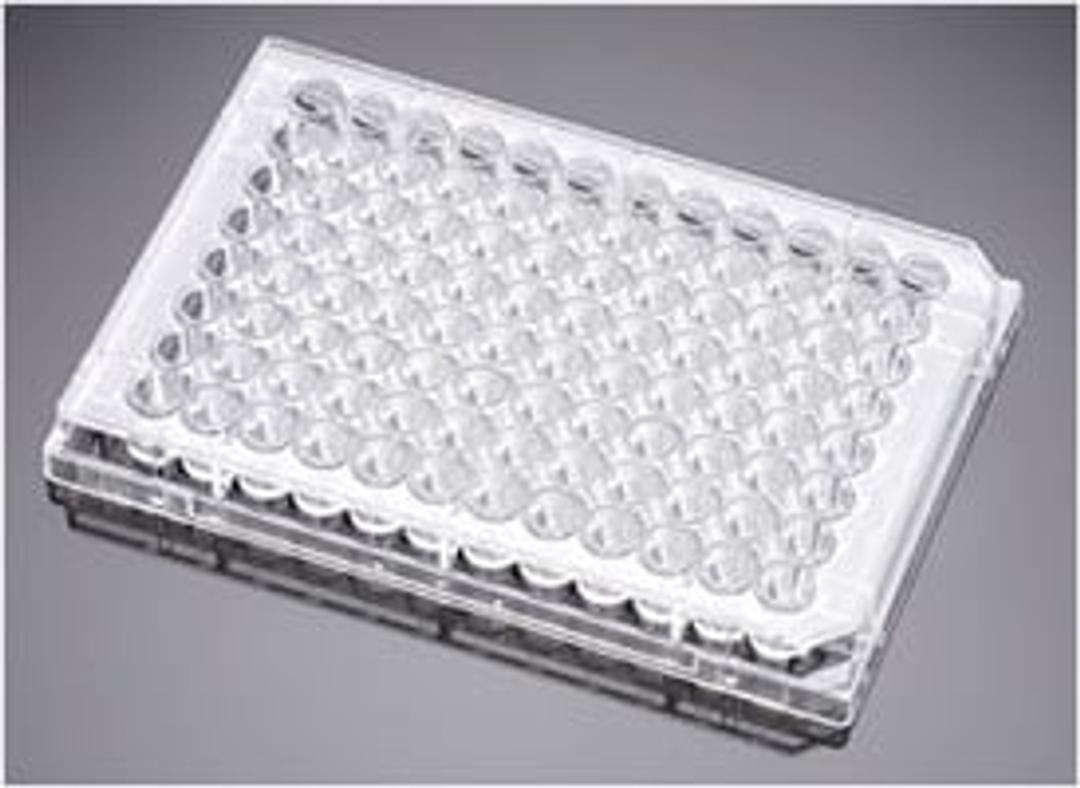 Corning® BioCoat™ Matrigel® Matrix Thin-Layer Clear Flat Bottom Multiwell Assay Plate, 5/Case - Corning Life Sciences - Life Sciences