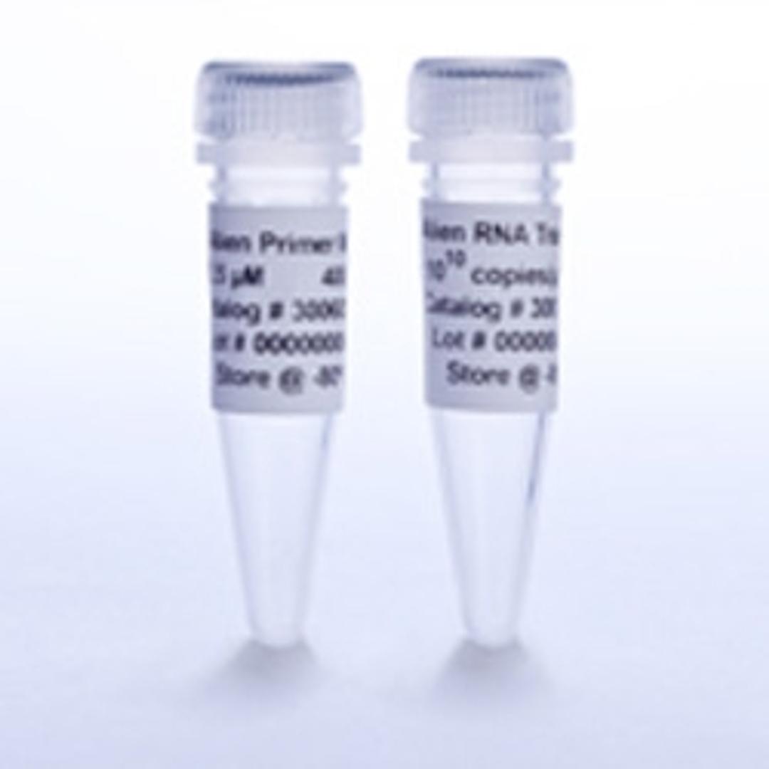 Alien Reference RNA QRT-PCR Detection Kit (VIC detection) - Agilent Technologies - Life Sciences