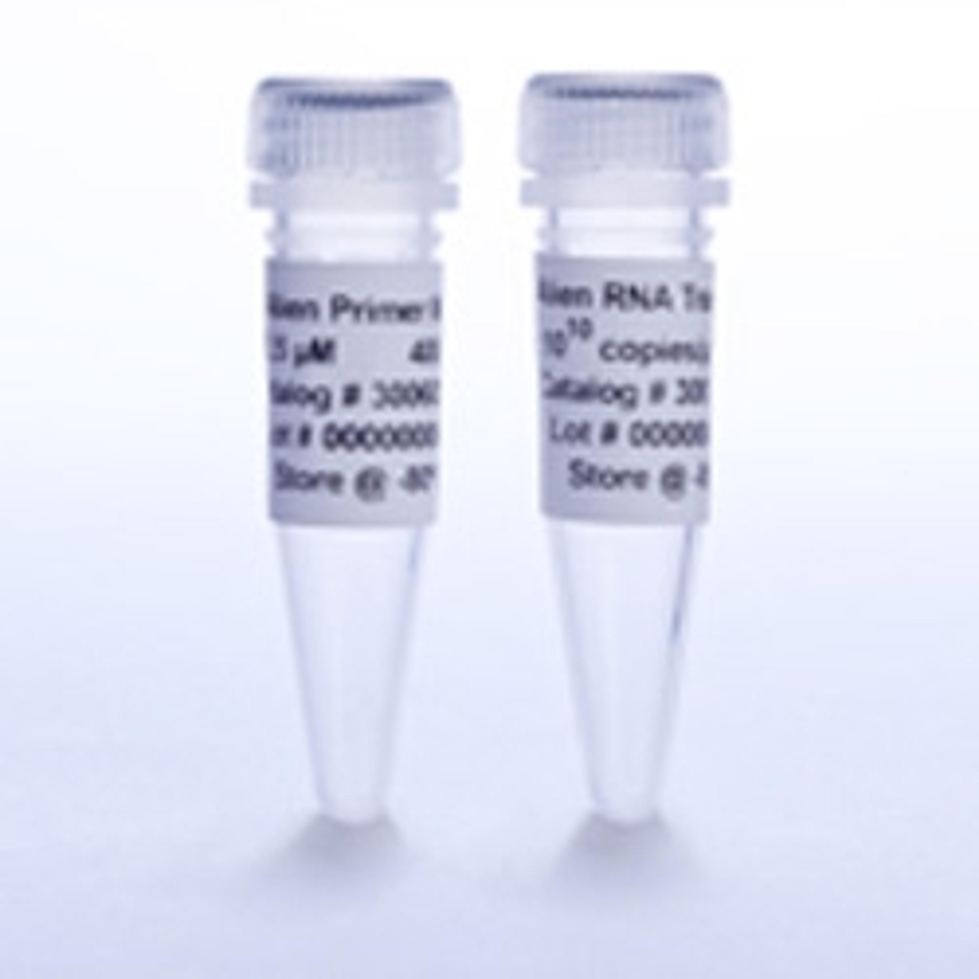 Alien Reference RNA QRT-PCR Detection Kit (VIC detection) - Agilent Technologies - Life Sciences