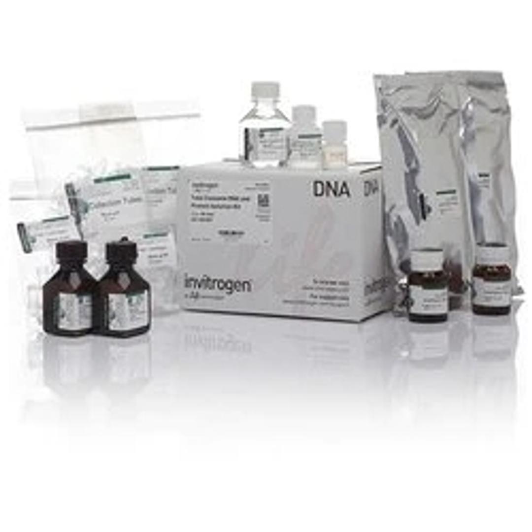 Total Exosome RNA and Protein Isolation Kit - Thermo Fisher Scientific - Life Sciences