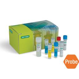 SingleShot™ Probes One-Step Kit for Cell Lysis and RT-qPCR, 100 x 50 µl reactions - Bio-Rad - Life Sciences