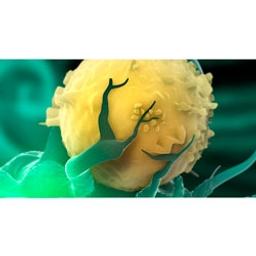 The TriMix Technology - eTheRNA