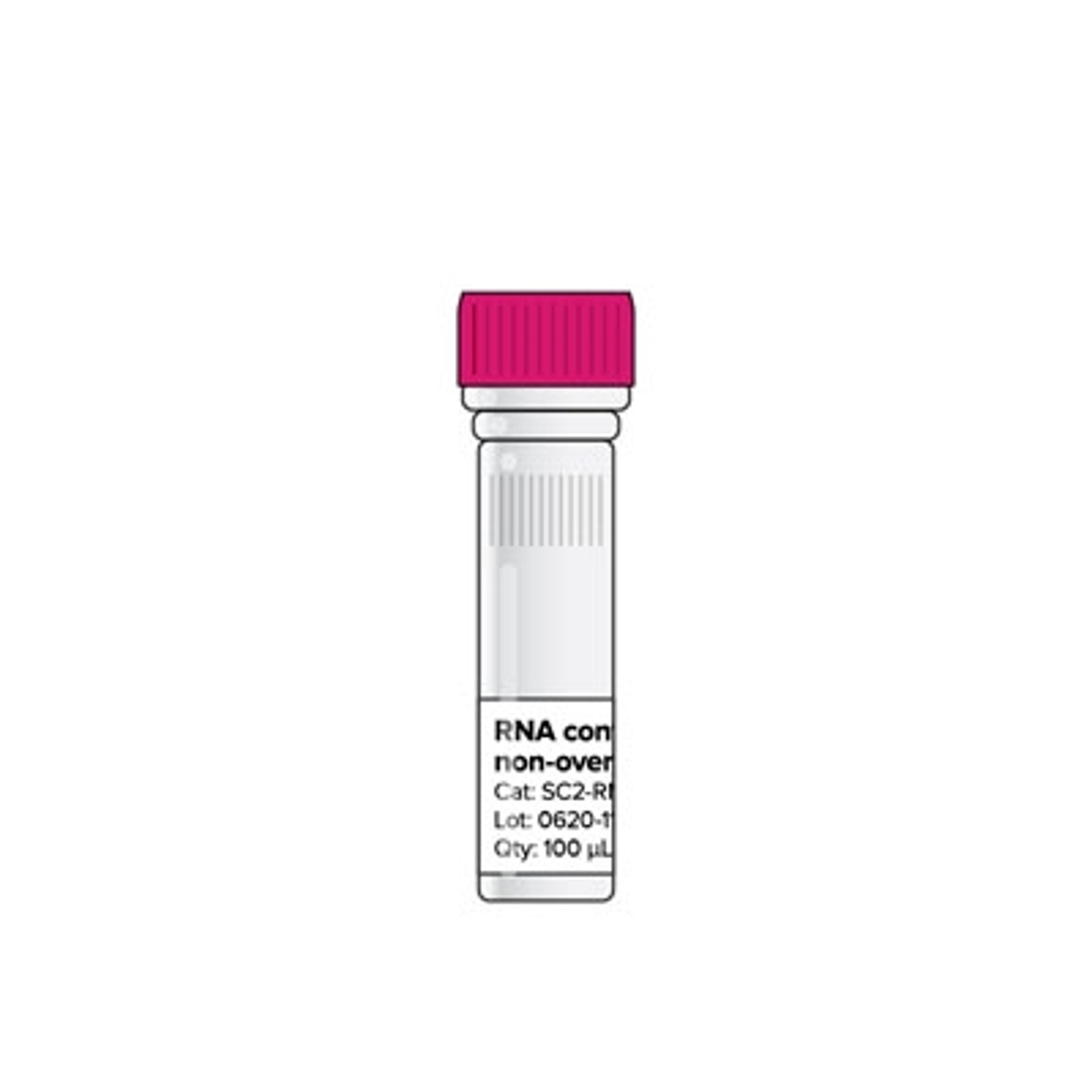 SARS-CoV-2 RNA control, non-overlapping, 1 vial - Codex DNA - Life Sciences