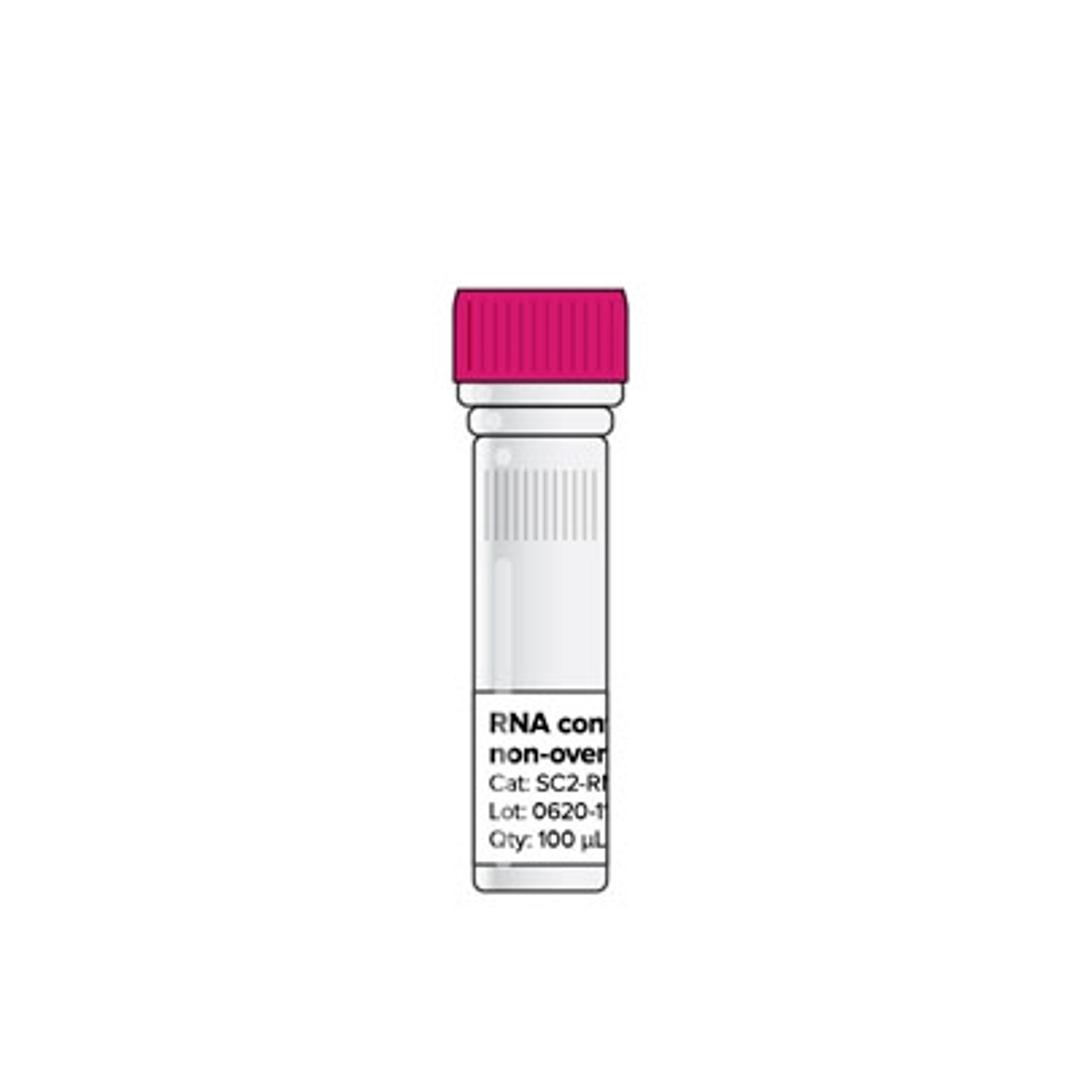 SARS-CoV-2 RNA control, non-overlapping, 1 vial - Codex DNA - Life Sciences