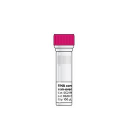 SARS-CoV-2 RNA control, non-overlapping, 1 vial - Codex DNA - Life Sciences