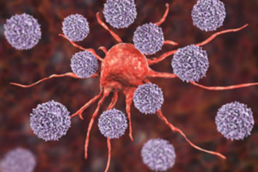 Spatial panel optimization and reproducibility to enable tumor immune profiling