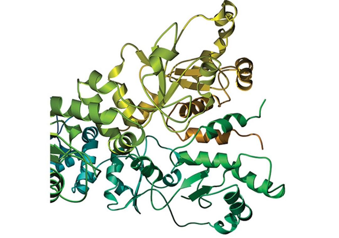 Cell Growth Media and Protein Production - Cambridge Isotope Laboratories - Life Sciences