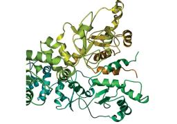 Cell Growth Media and Protein Production - Cambridge Isotope Laboratories - Life Sciences