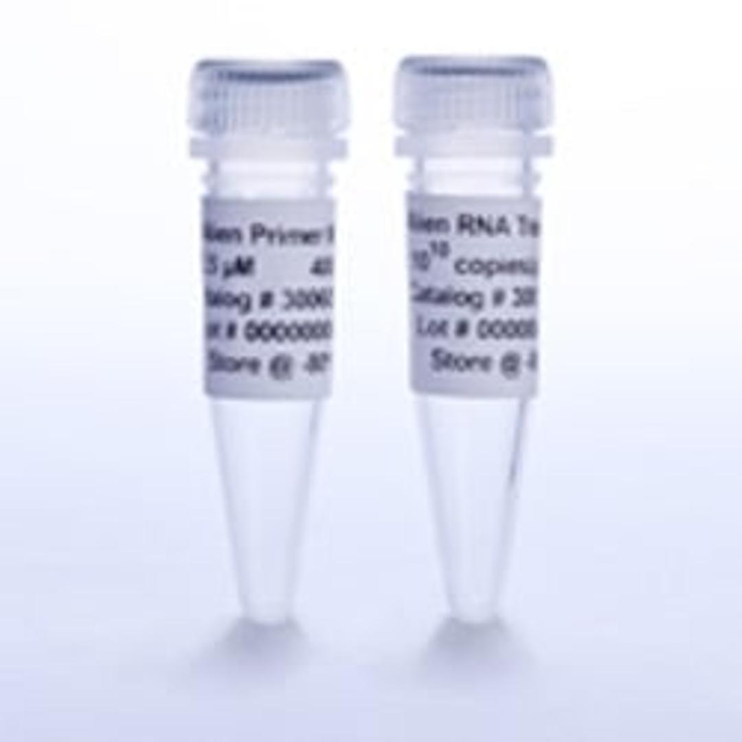 Alien Reference RNA QRT-PCR Detection Kit (FAM detection) - Agilent Technologies - Life Sciences