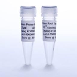 Alien Reference RNA QRT-PCR Detection Kit (FAM detection) - Agilent Technologies - Life Sciences