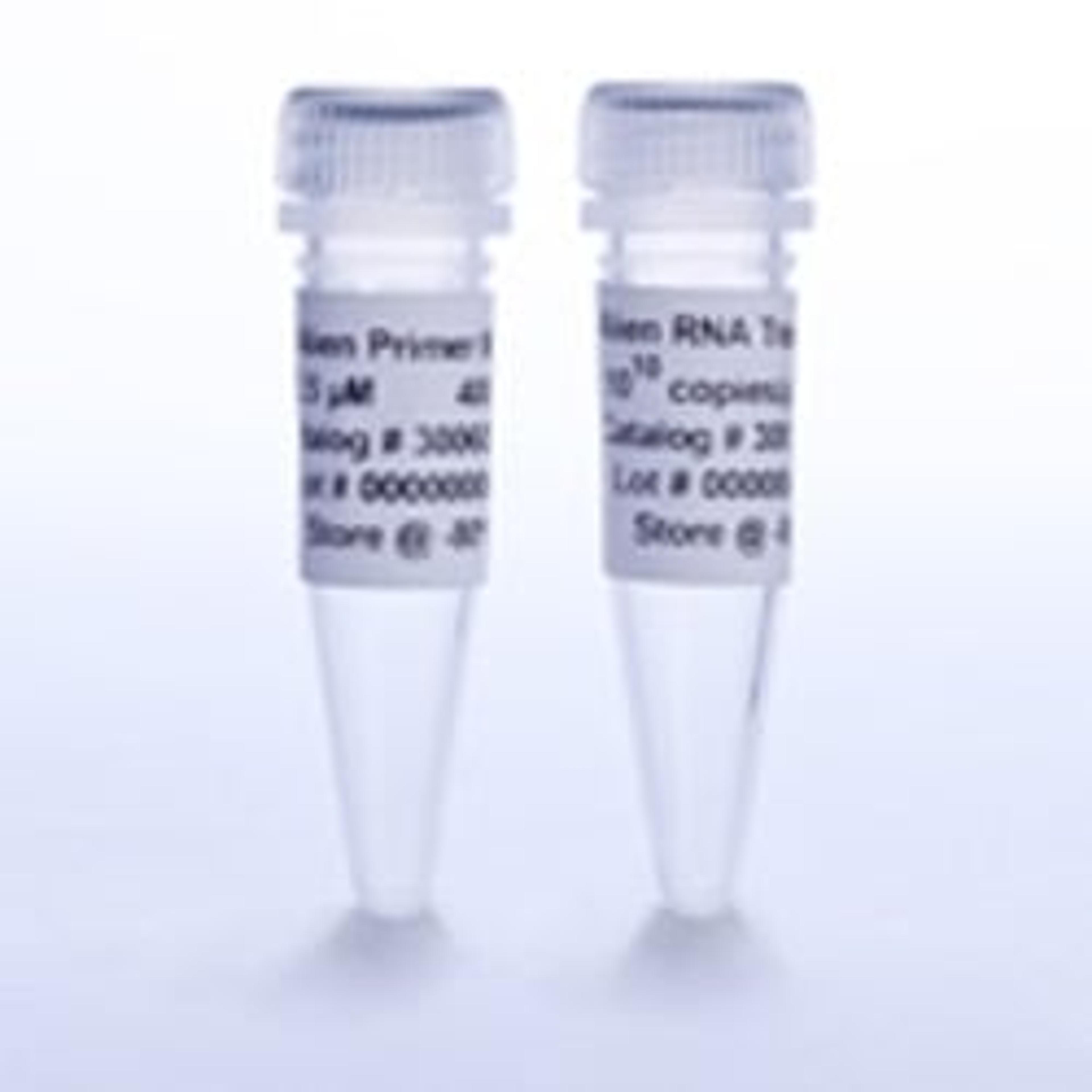 Alien Reference RNA QRT-PCR Detection Kit (FAM detection) - Agilent Technologies - Life Sciences