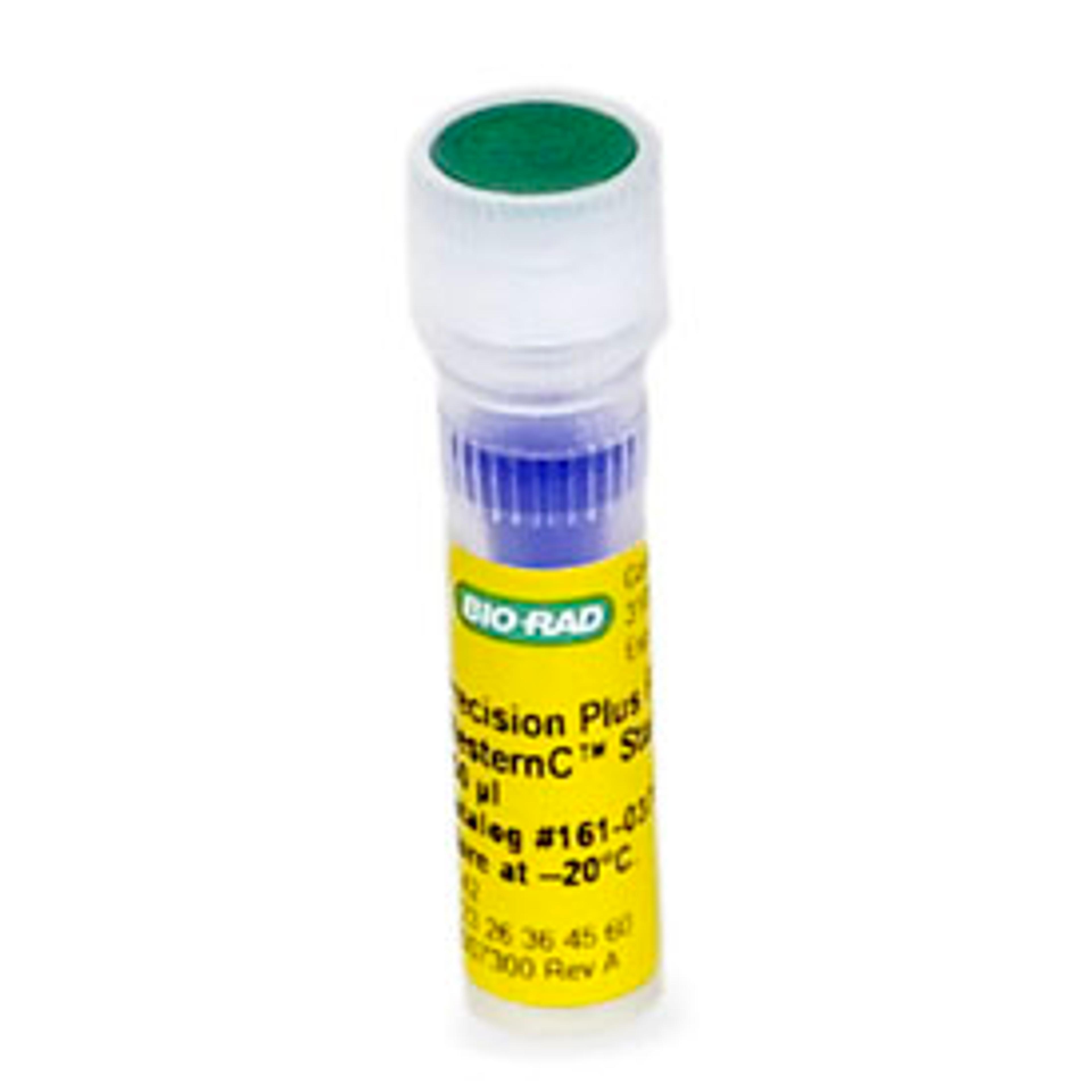 Precision Plus Protein™ WesternC™ Blotting Standards, 250 µl - Bio-Rad - Life Sciences