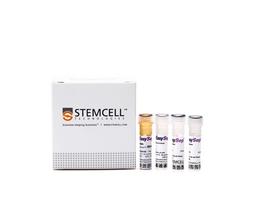 EasySep™ Mouse CD138 Positive Selection Kit - STEMCELL Technologies Inc. - Life Sciences