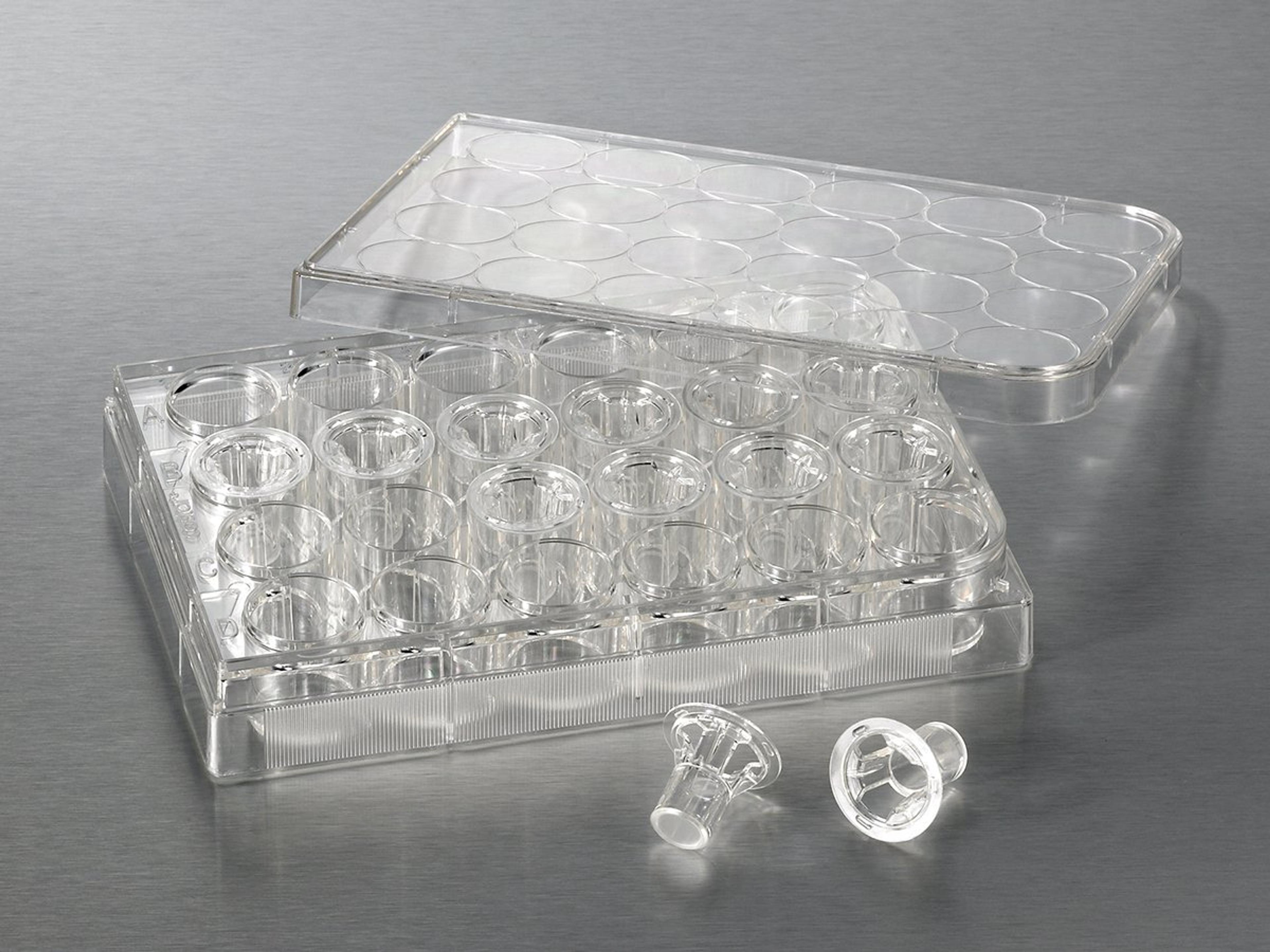 6.5 mm Transwell® with 8.0 µm Pore Polycarbonate Membrane Insert, Sterile - Corning Life Sciences - Life Sciences