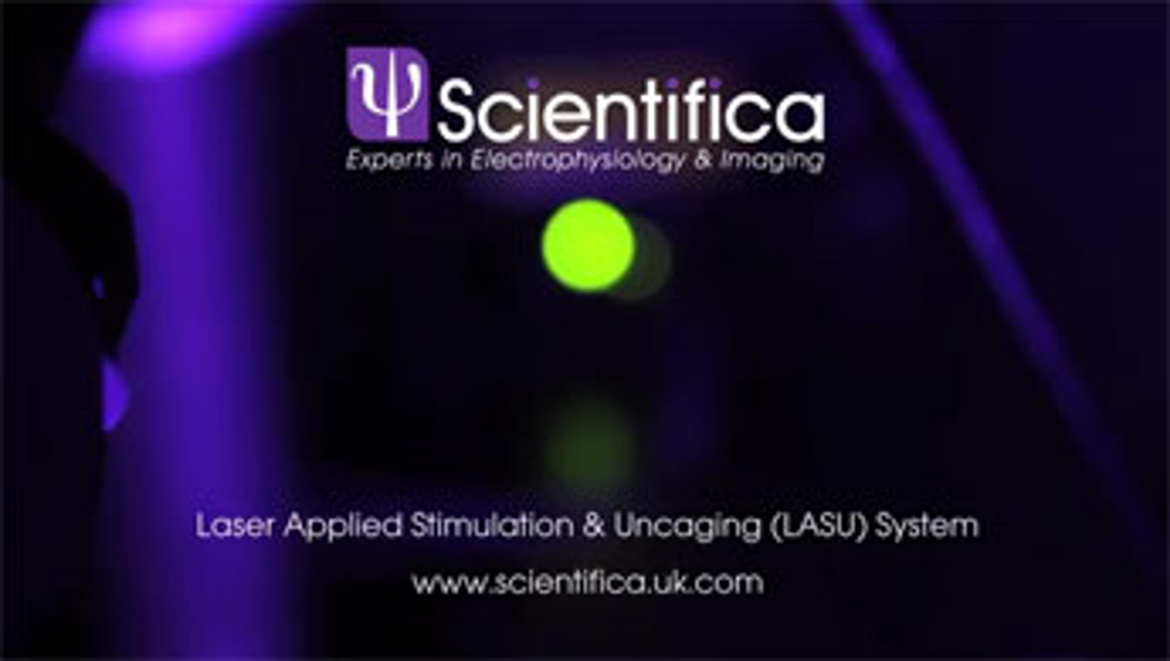 LASU – Optogenetic, Photo-Stimulation and Uncaging System LASU – Optogenetic, Photo-Stimulation and Uncaging System