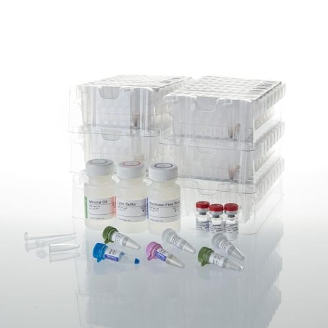 Maxwell® CSC RNA FFPE Kit - Promega Corp. - Life Sciences