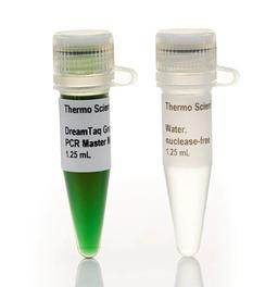 DreamTaq Green PCR Master Mix - Thermo Fisher Scientific - Life Sciences