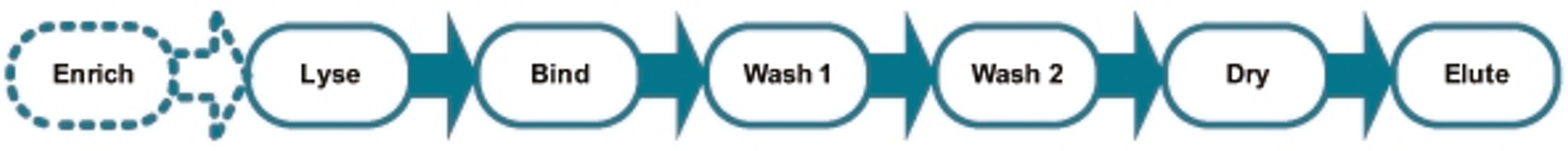 mag™ kits - LGC Biosearch Technologies - Life Sciences