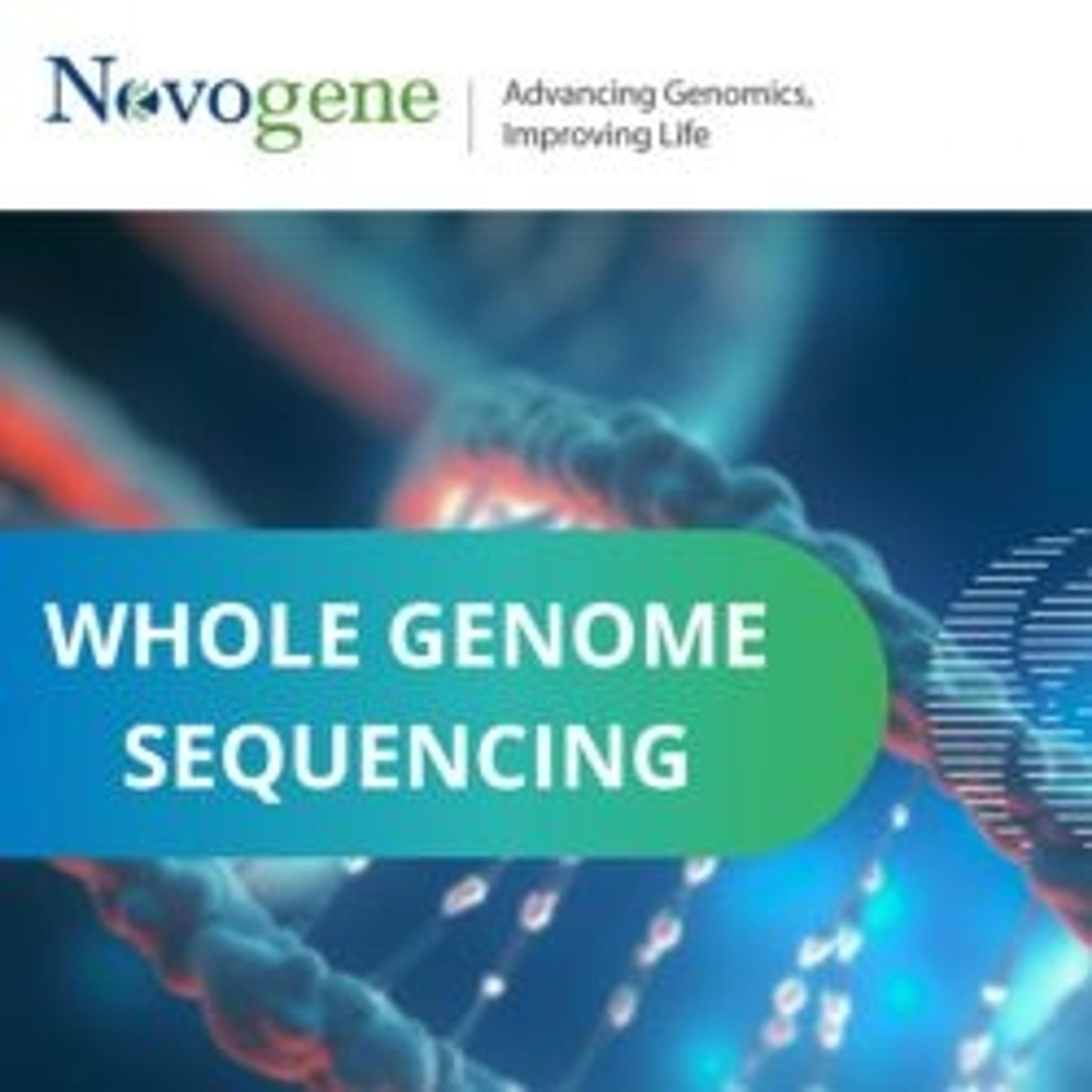 Whole genome sequencing - Novogene - Life Sciences