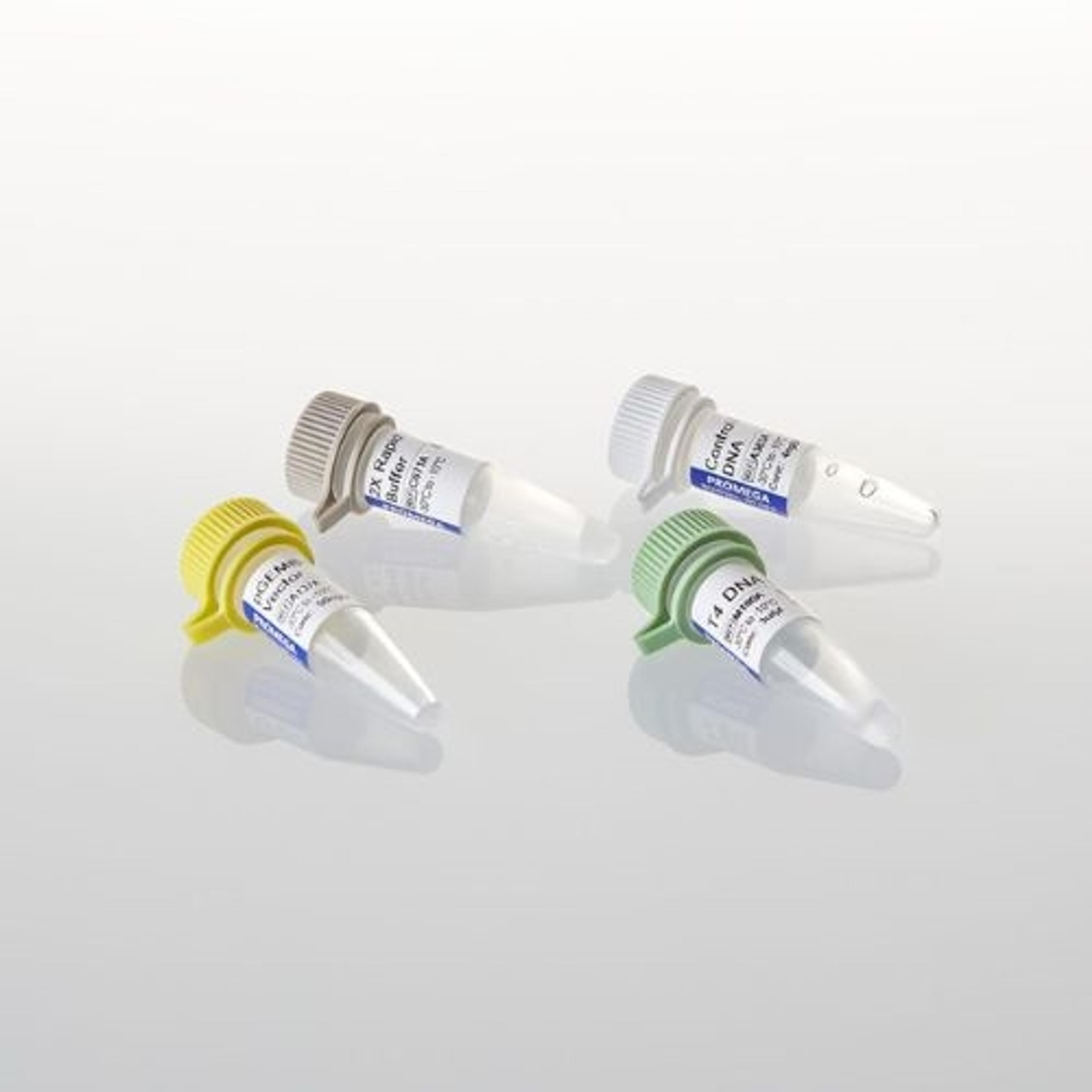 pGEM®-T Easy Vector Systems - Promega Corp. - Life Sciences