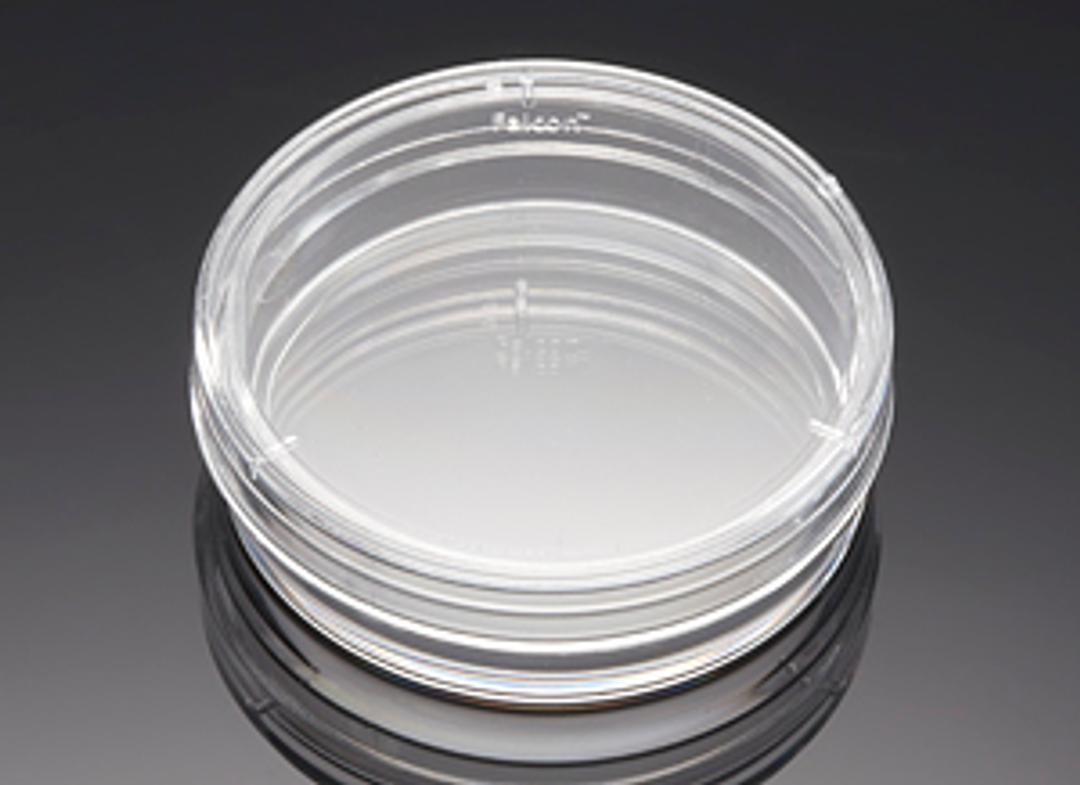 Corning® Primaria™ 35 mm x 10 mm Easy Grip Style Cell Culture Dish, 20/Sleeve, 200/Case - Corning Life Sciences - General Lab