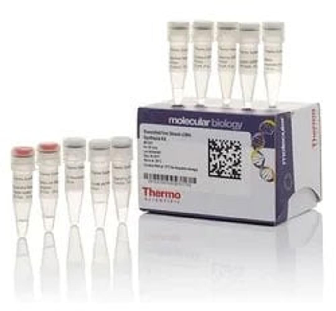 RevertAid First Strand cDNA Synthesis Kit - Thermo Fisher Scientific - Life Sciences