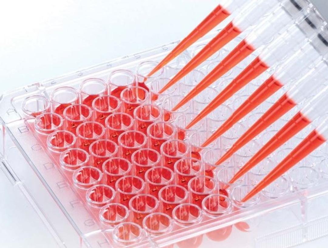 BIOFLOAT™ Spheroid Culture - SARSTEDT AG - Life Sciences